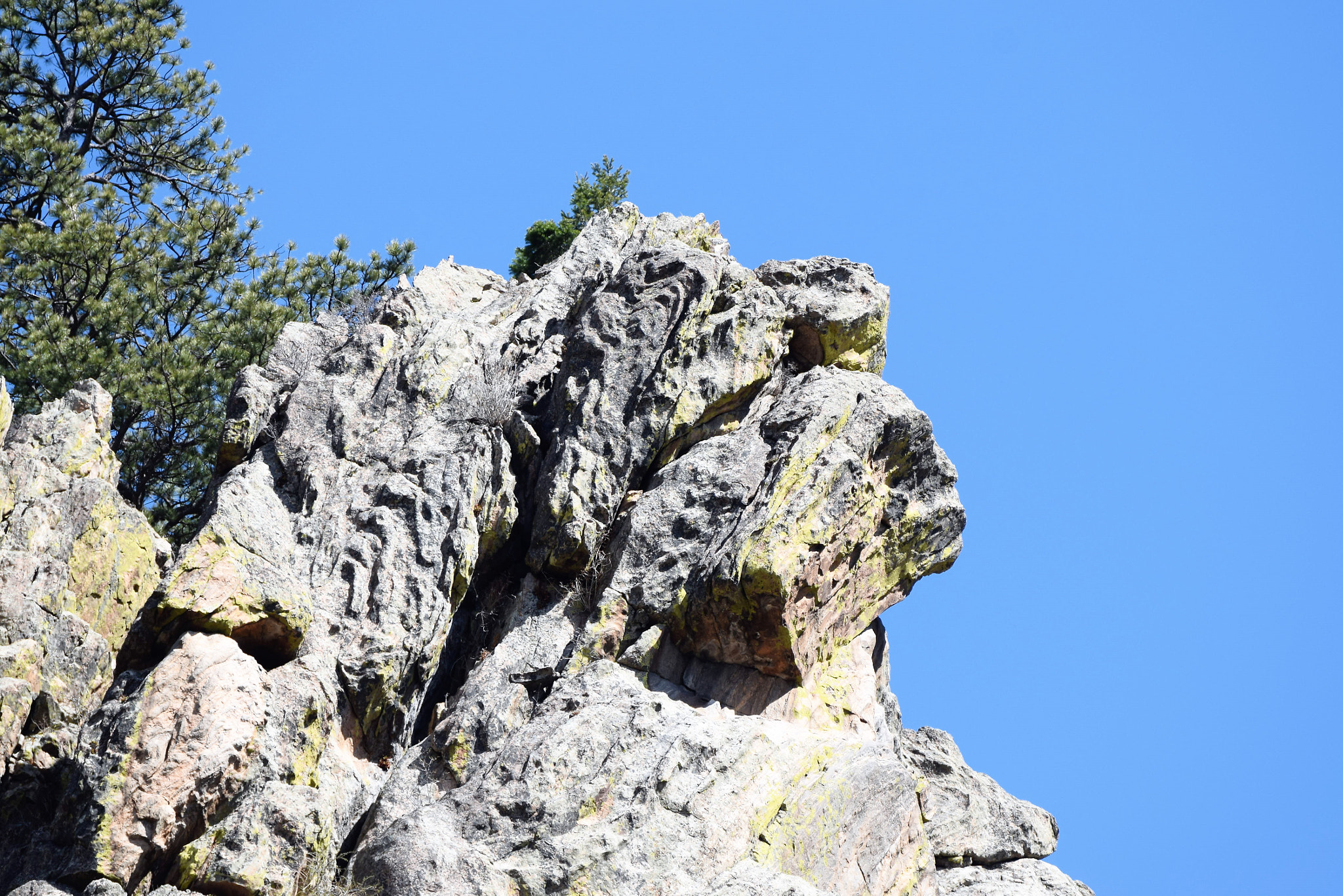 Nikon D3300 sample photo. Indian medicine man *;) photography