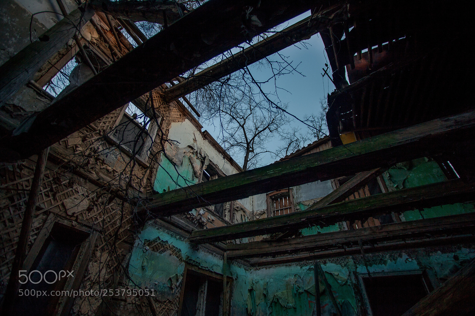 Canon EOS 5D Mark II sample photo. Untitled photography