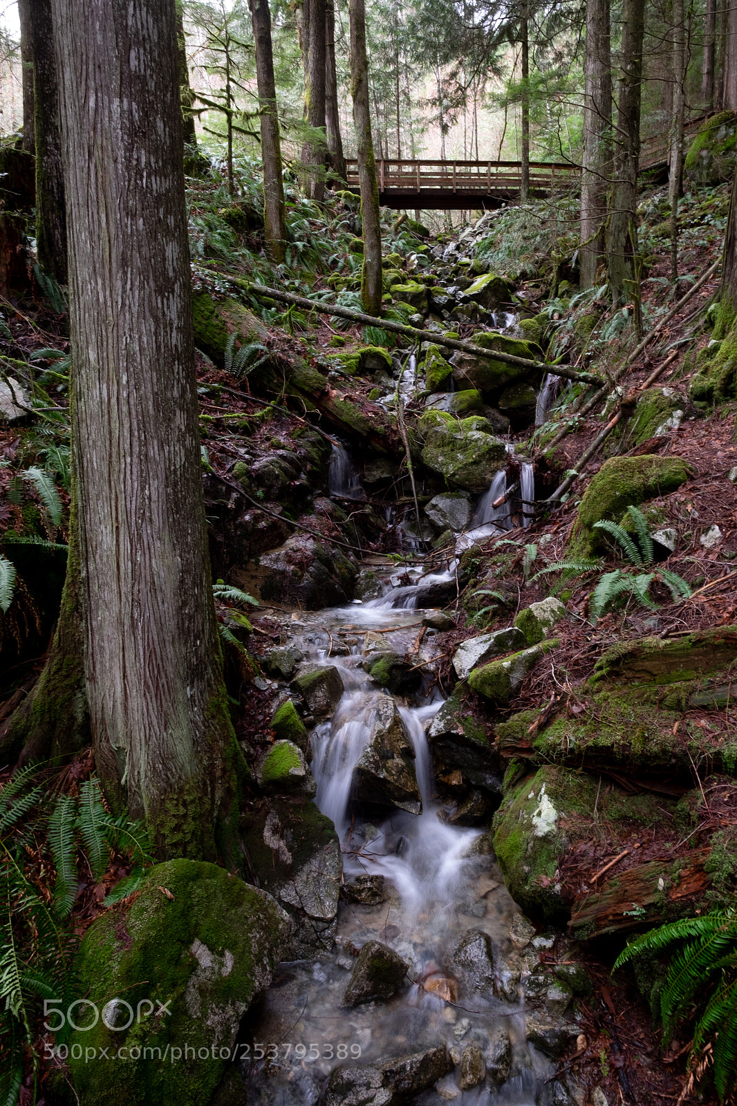 Fujifilm X-T1 sample photo. Cascade falls, bc, canada photography