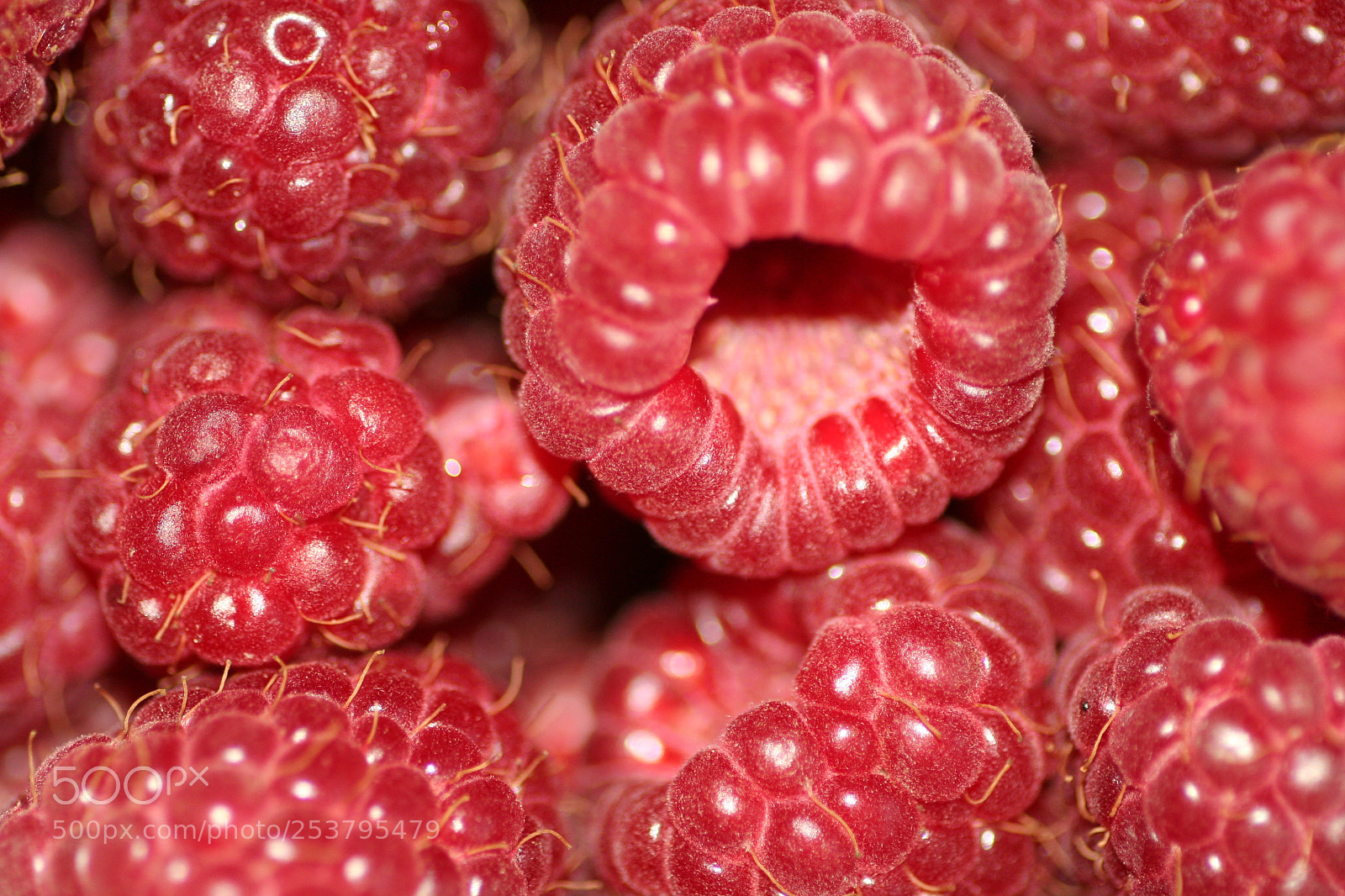 Canon EOS 350D (EOS Digital Rebel XT / EOS Kiss Digital N) sample photo. Raspberries photography