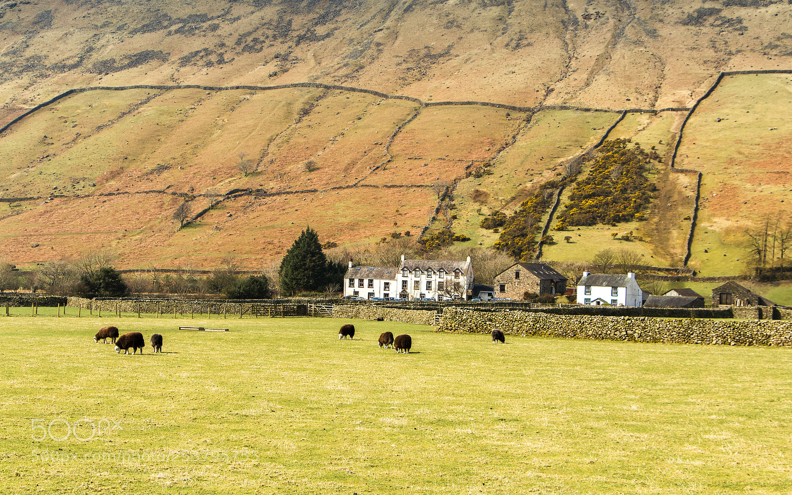 Canon EOS 700D (EOS Rebel T5i / EOS Kiss X7i) sample photo. Wasdale head photography