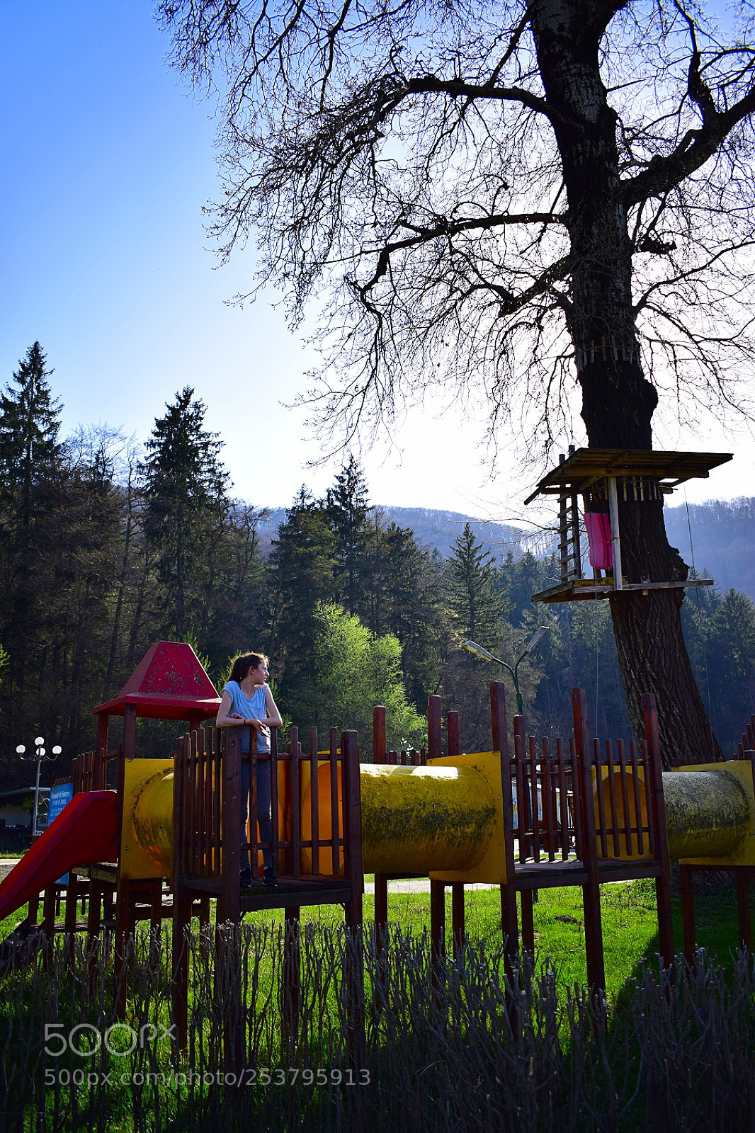 Nikon D5300 sample photo. Untitled photography