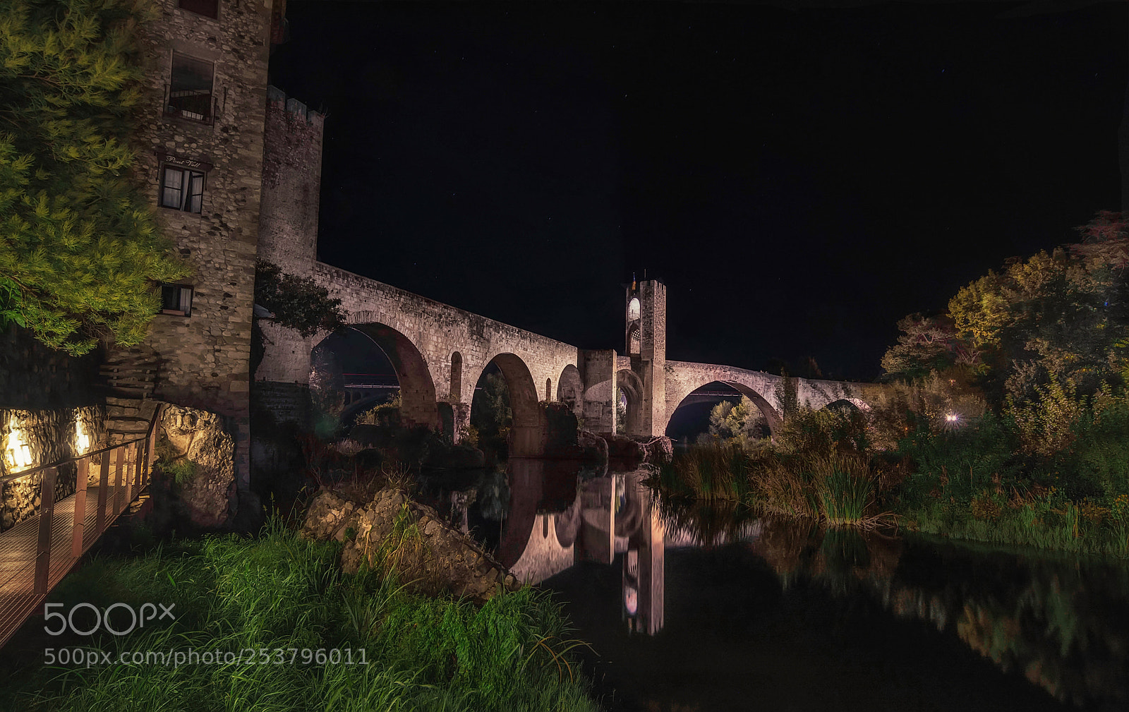 Nikon D7100 sample photo. Pont besalú photography