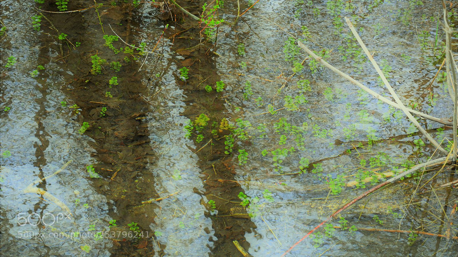 Nikon D3200 sample photo. Untitled photography