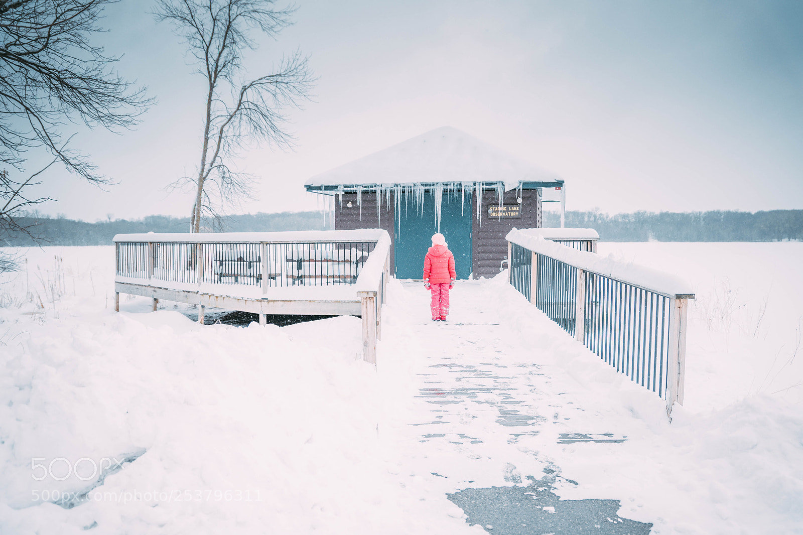 Canon EOS 5D Mark IV sample photo. Snow in the spring photography