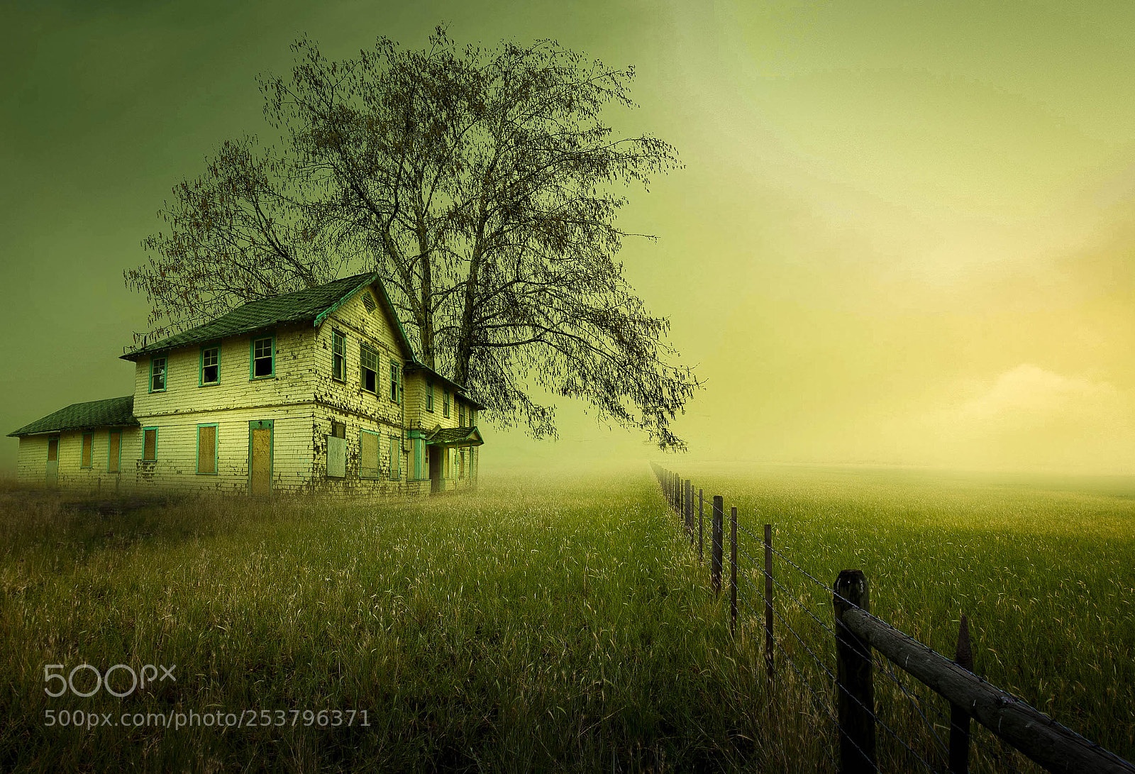 Canon EOS 60D sample photo. Green house photography