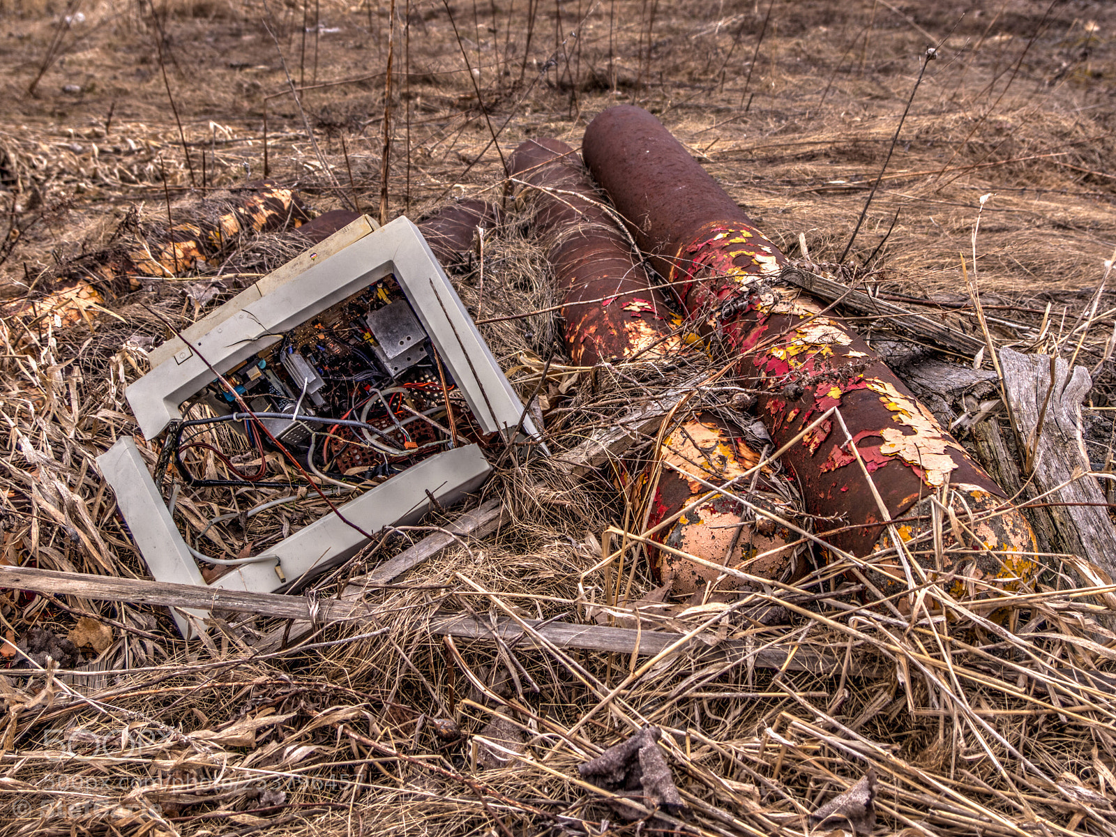 Sony SLT-A77 sample photo. Trash  photography