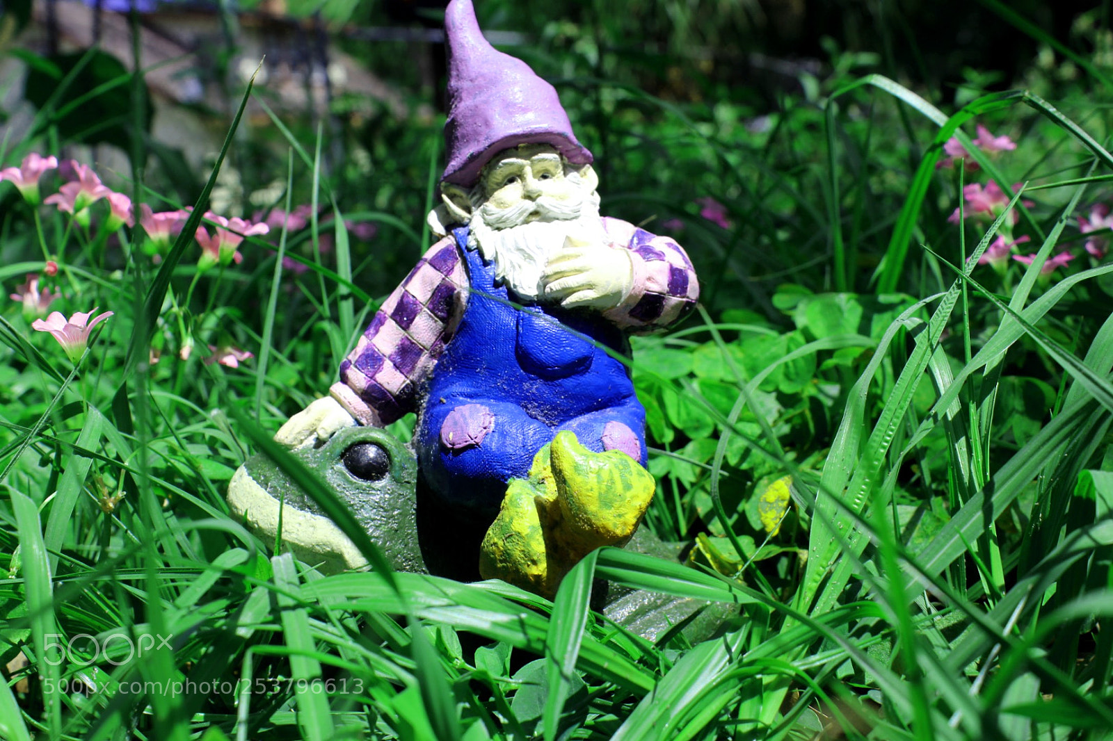 Canon EOS 1300D (EOS Rebel T6 / EOS Kiss X80) sample photo. Gnome on frog photography