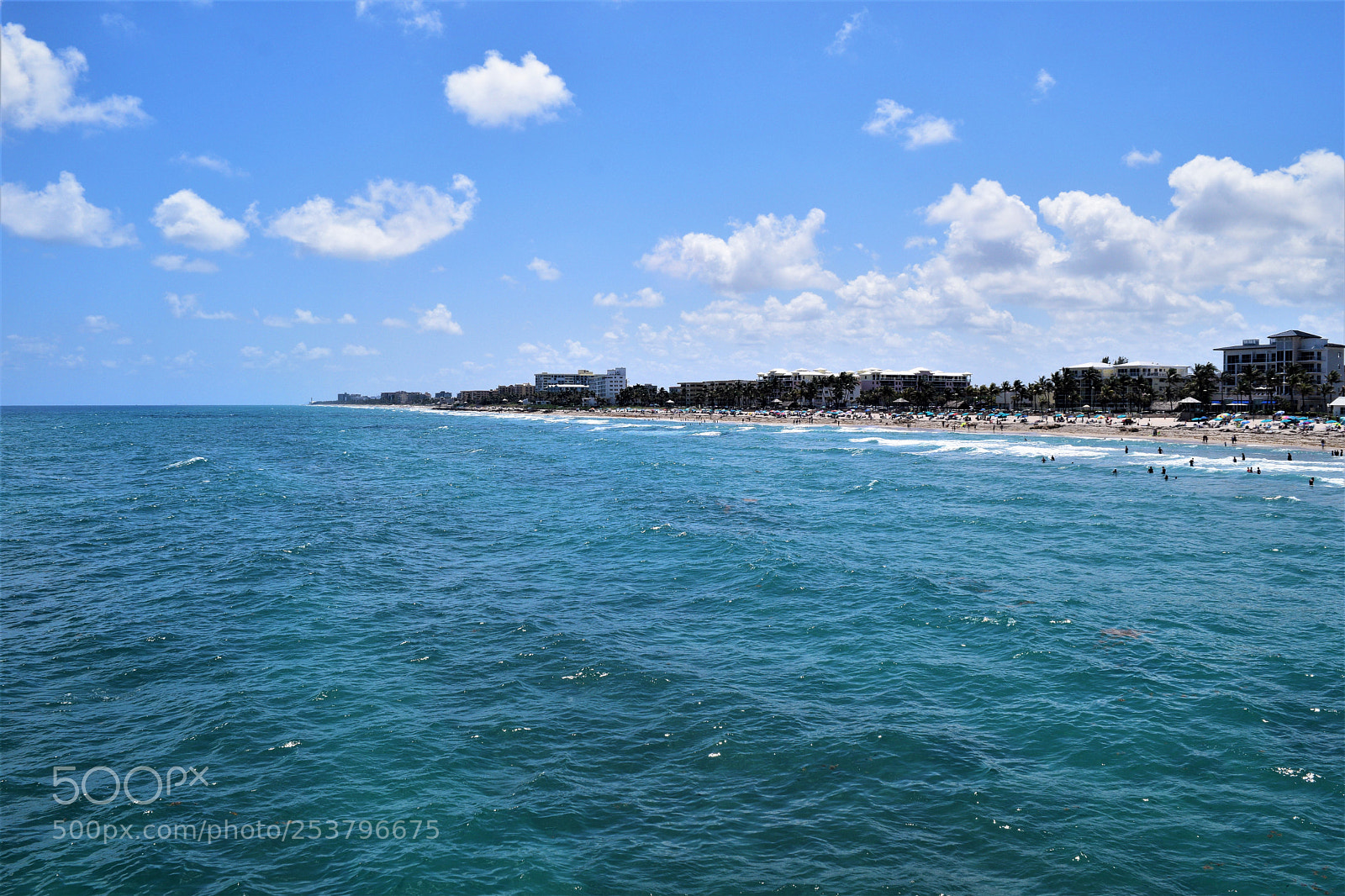 Nikon D3300 sample photo. Blue photography
