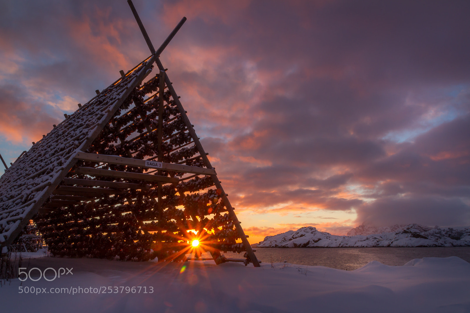 Canon EOS 7D sample photo. Svinøya's stockfish photography