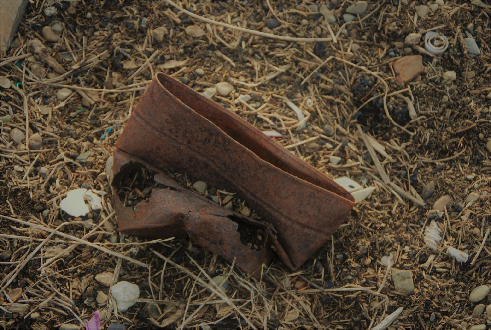 Nikon D80 sample photo. Crushed photography