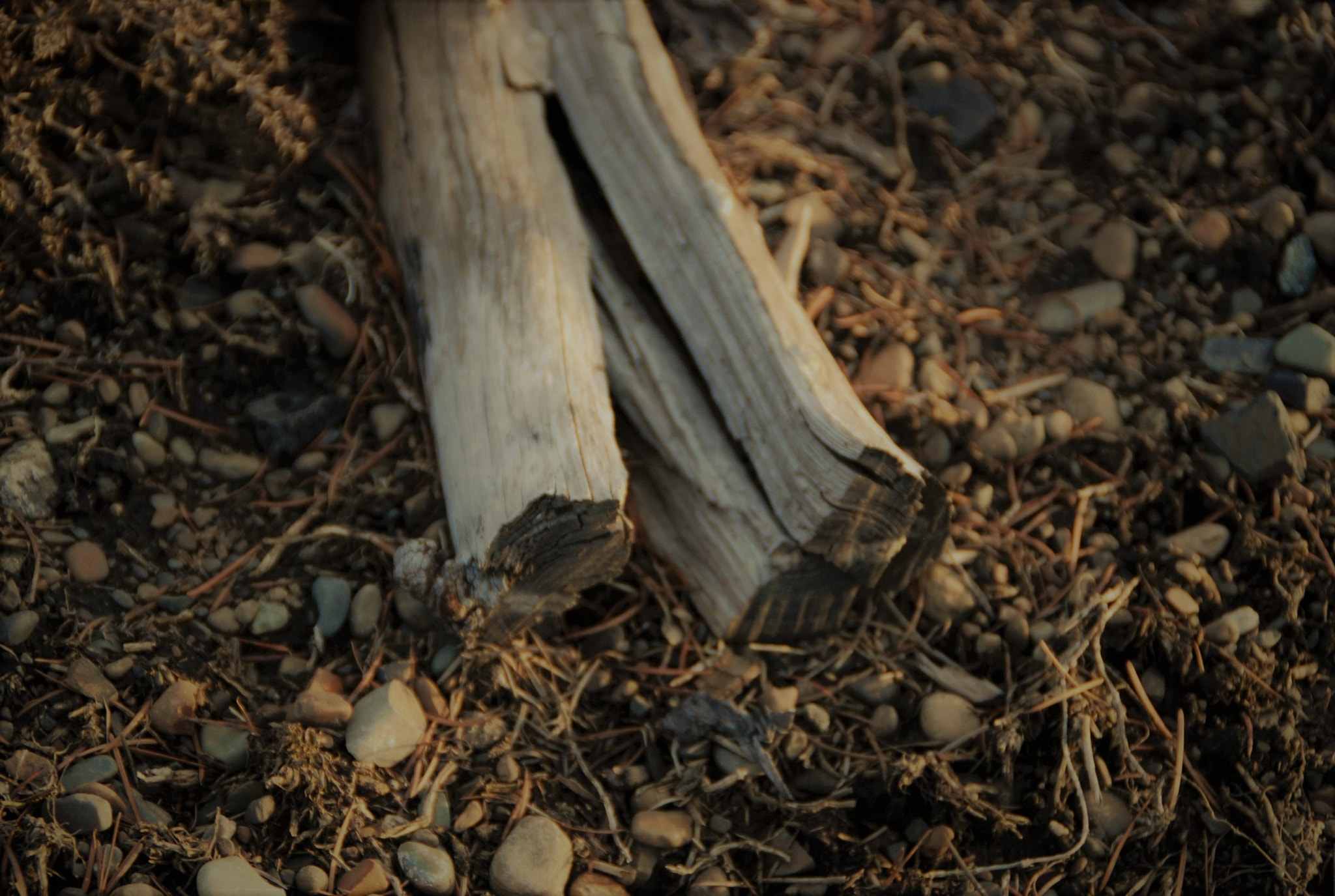 Nikon D80 sample photo. Impartial photography