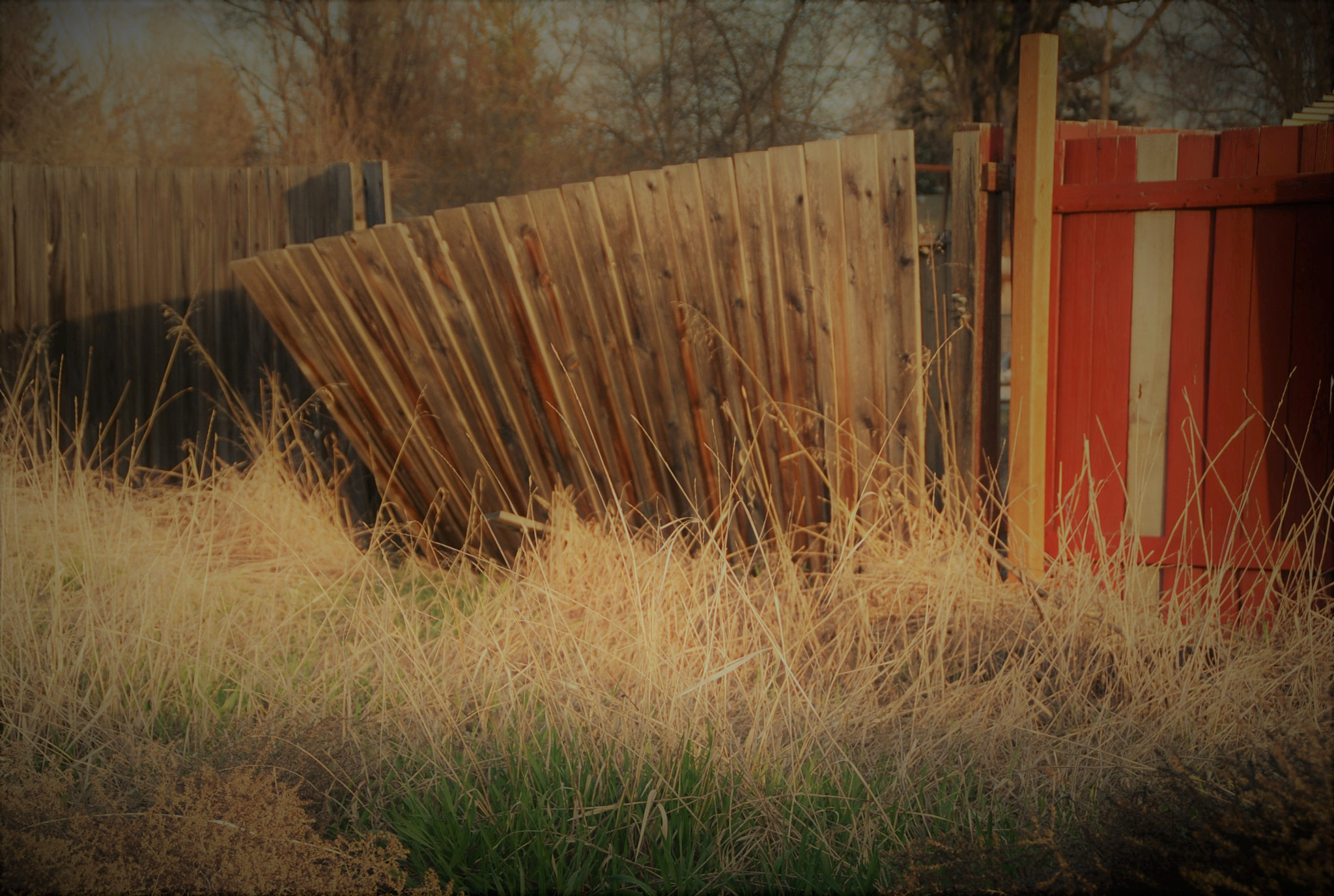 Nikon D80 sample photo. Noentry photography