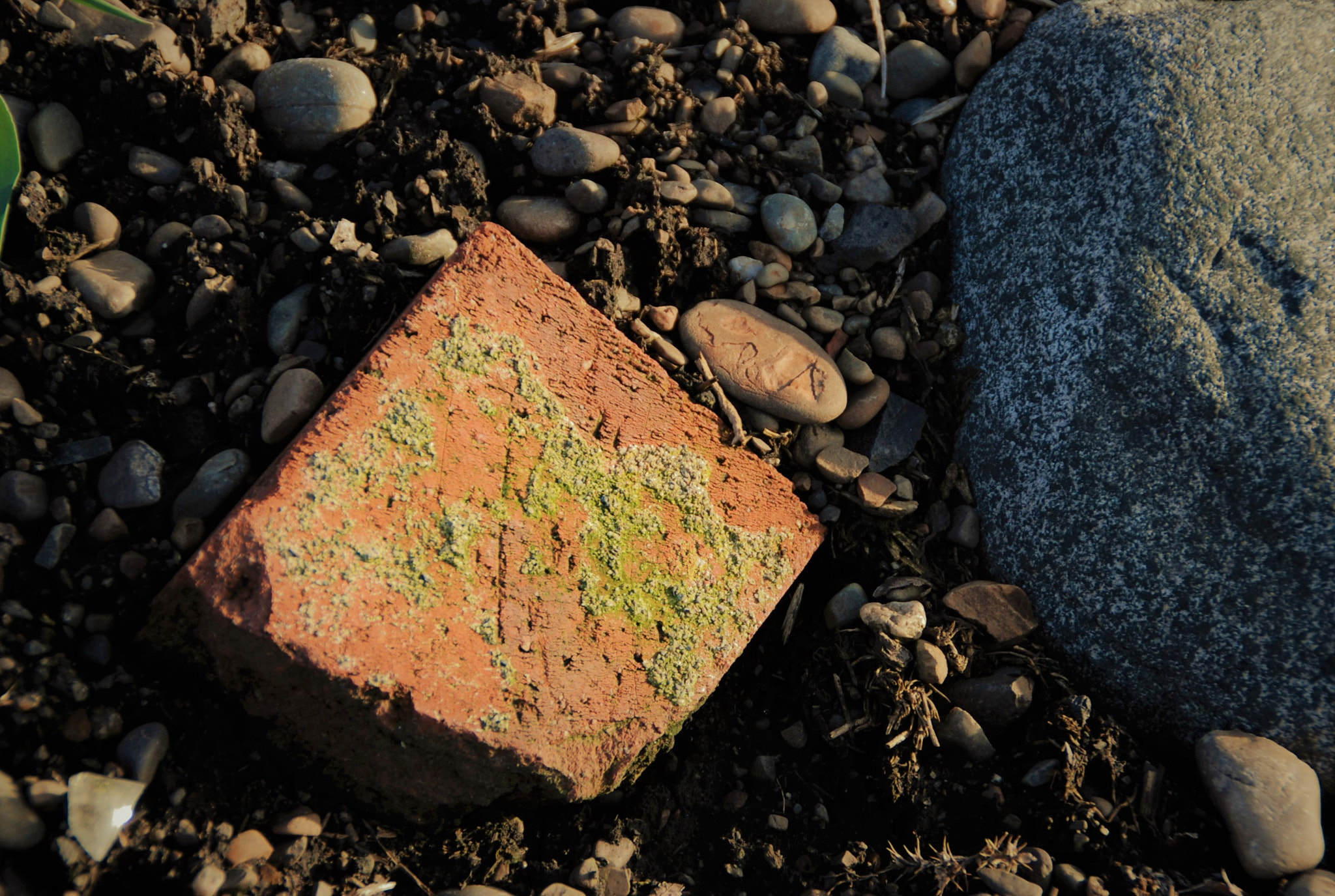 Nikon D80 sample photo. Shattereddreams photography