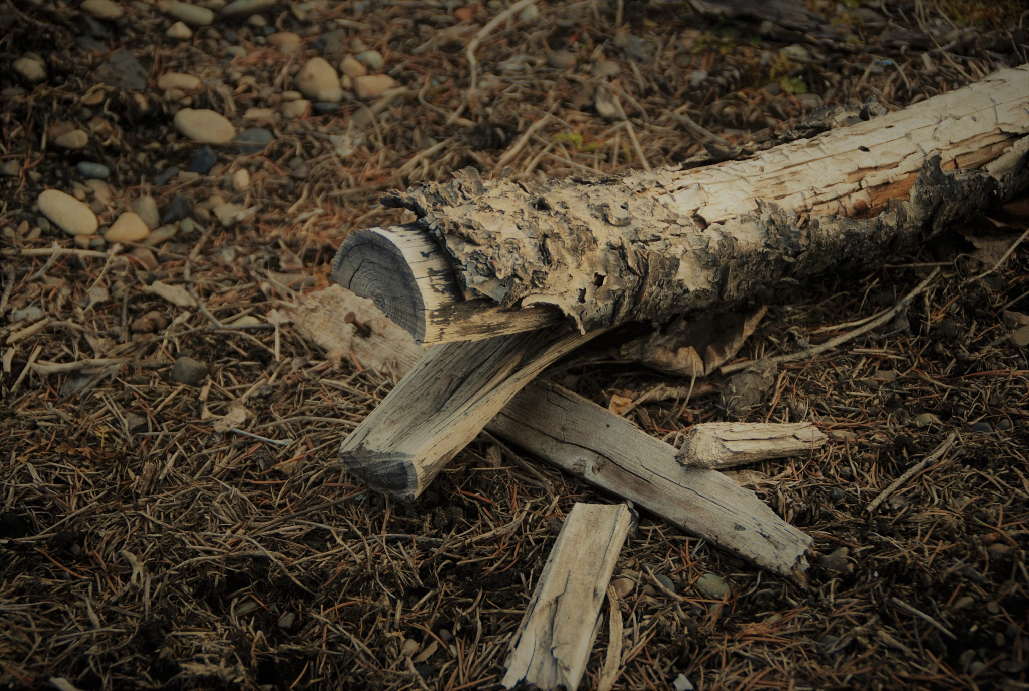 Nikon D80 sample photo. Split photography