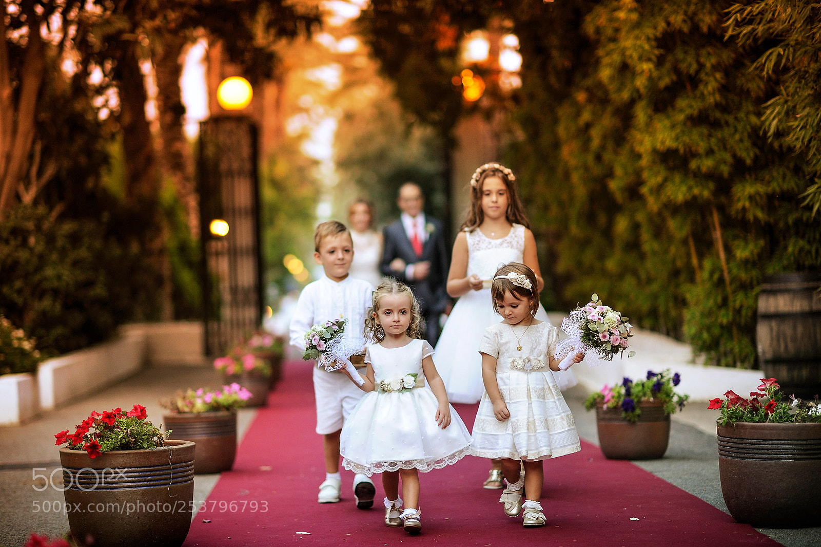 Nikon D3S sample photo. Little wedding photography