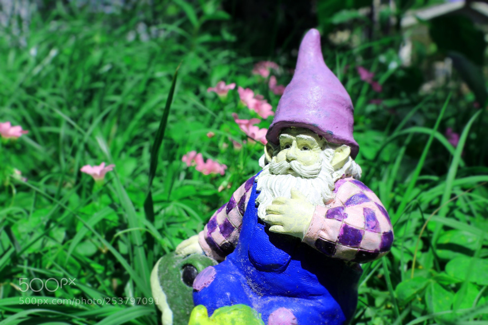 Canon EOS 1300D (EOS Rebel T6 / EOS Kiss X80) sample photo. Gnome photography