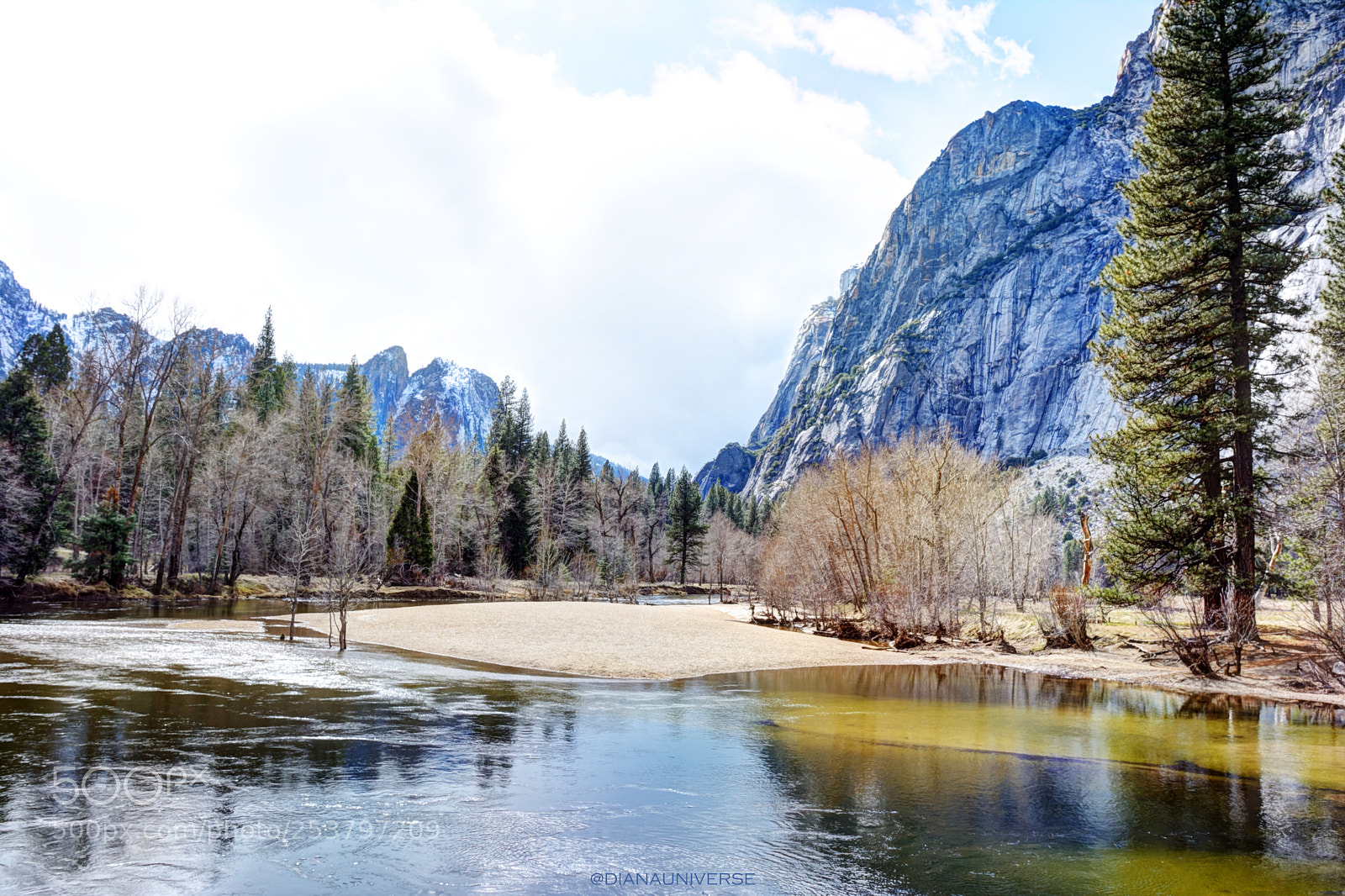Nikon D7100 sample photo. Spring light photography