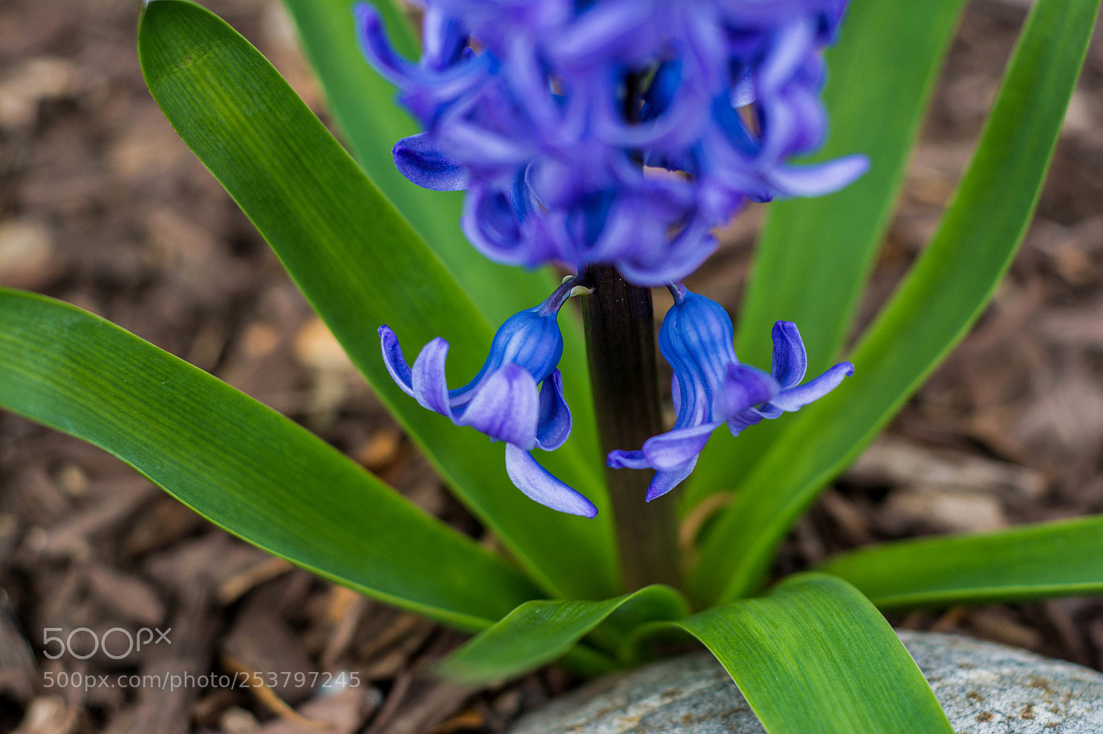 Nikon D7100 sample photo. Untitled photography