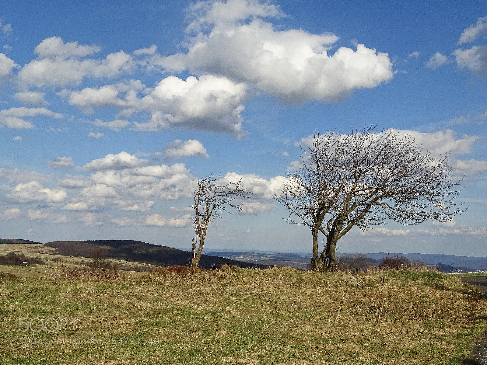 Sony Cyber-shot DSC-HX400V sample photo. Spring in bohemia photography