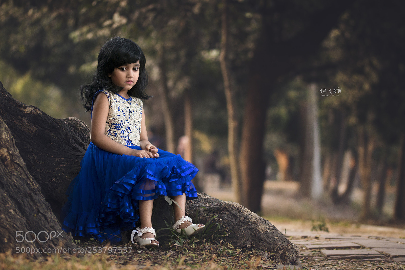 Canon EOS 70D sample photo. Portrait photography by sa photography