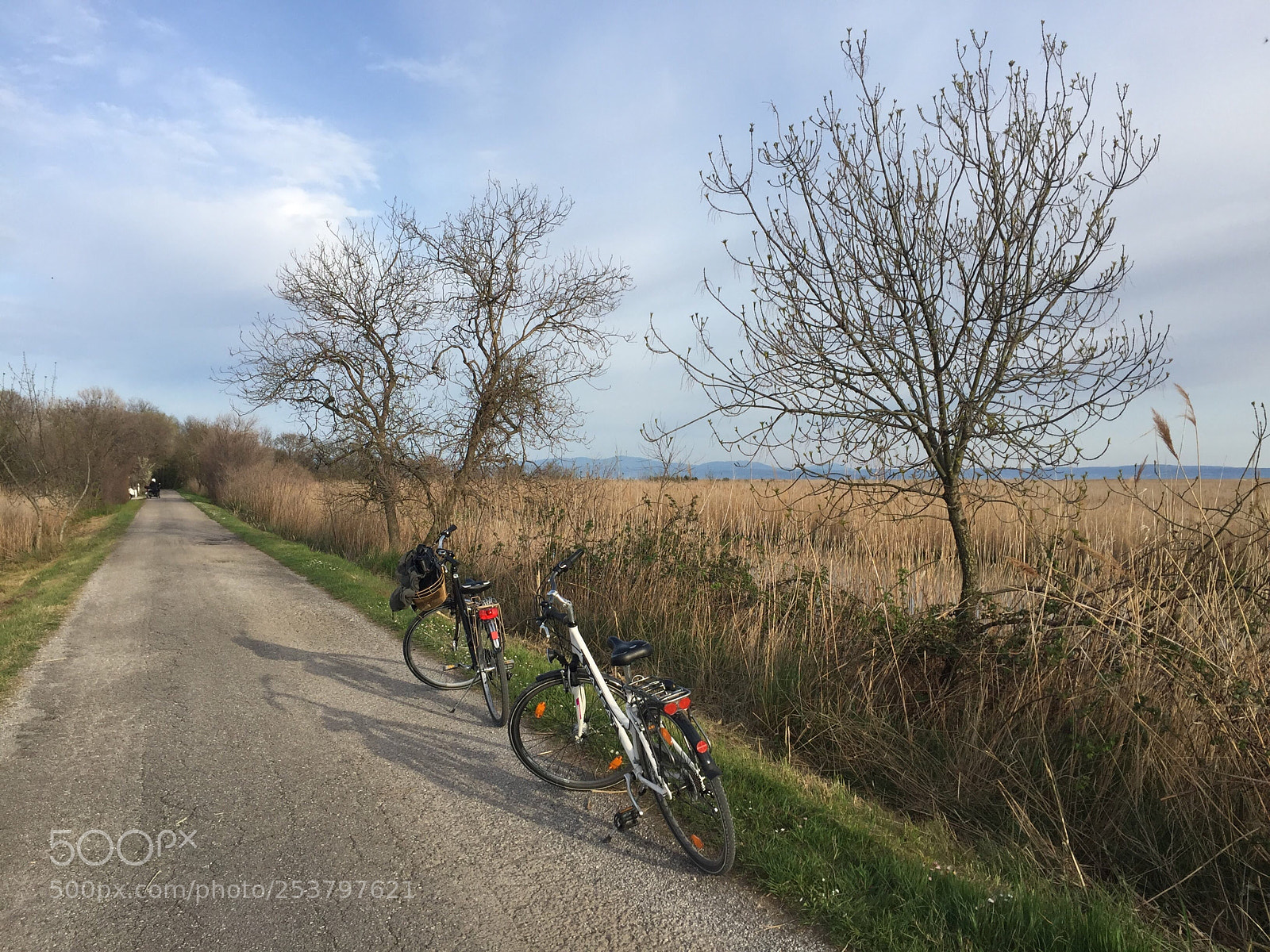 Apple iPhone 6 sample photo. Bikes on the road photography