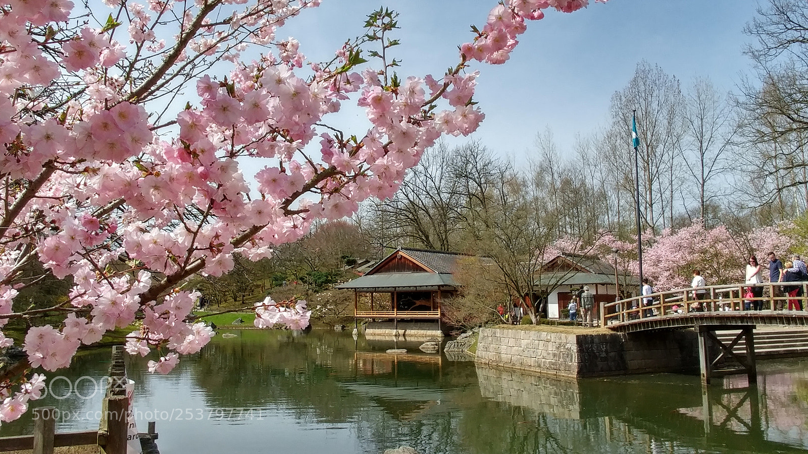 LG G5 sample photo. Japanese garden photography