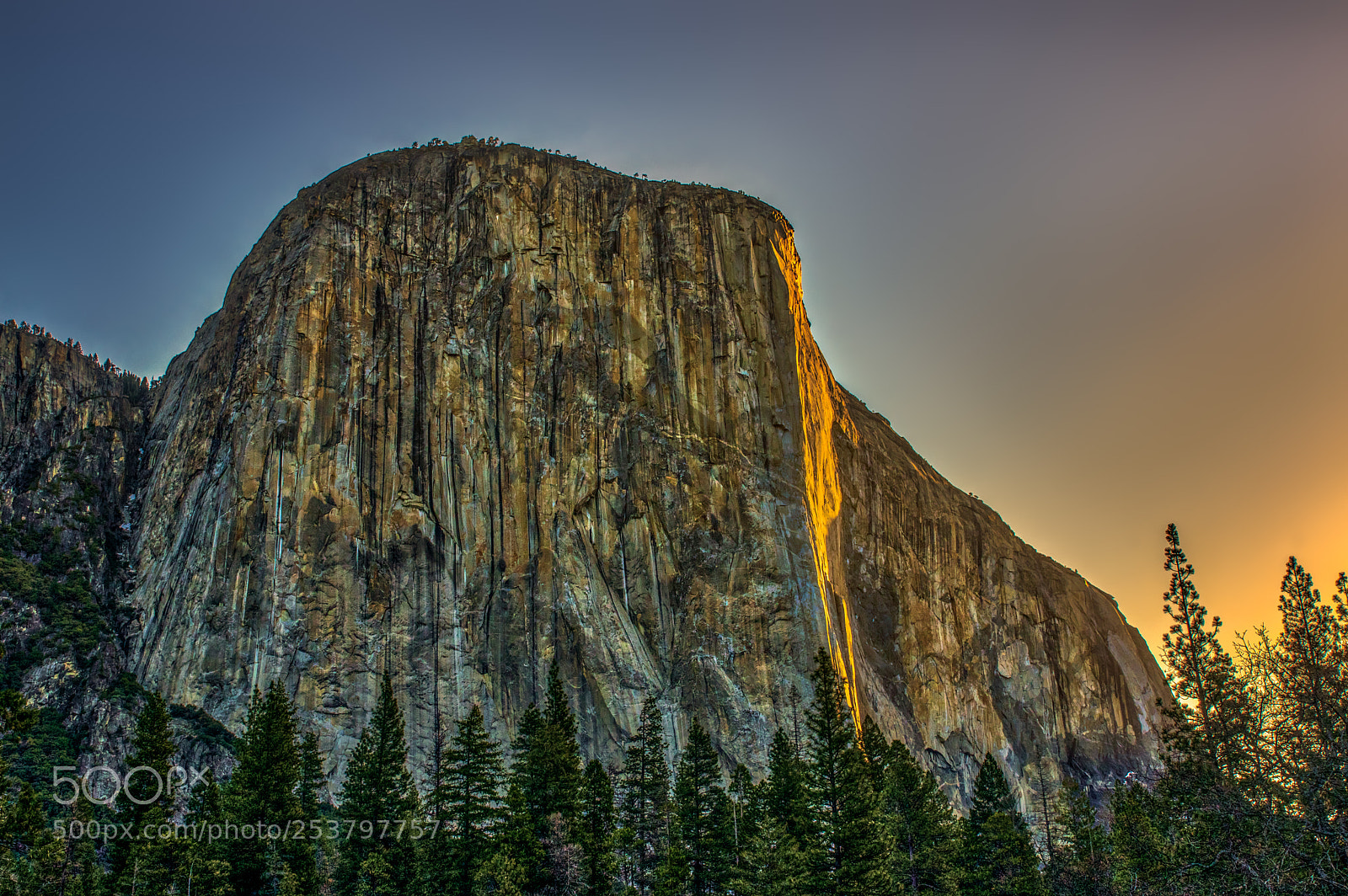 Pentax K-3 II sample photo. Yosemite photography