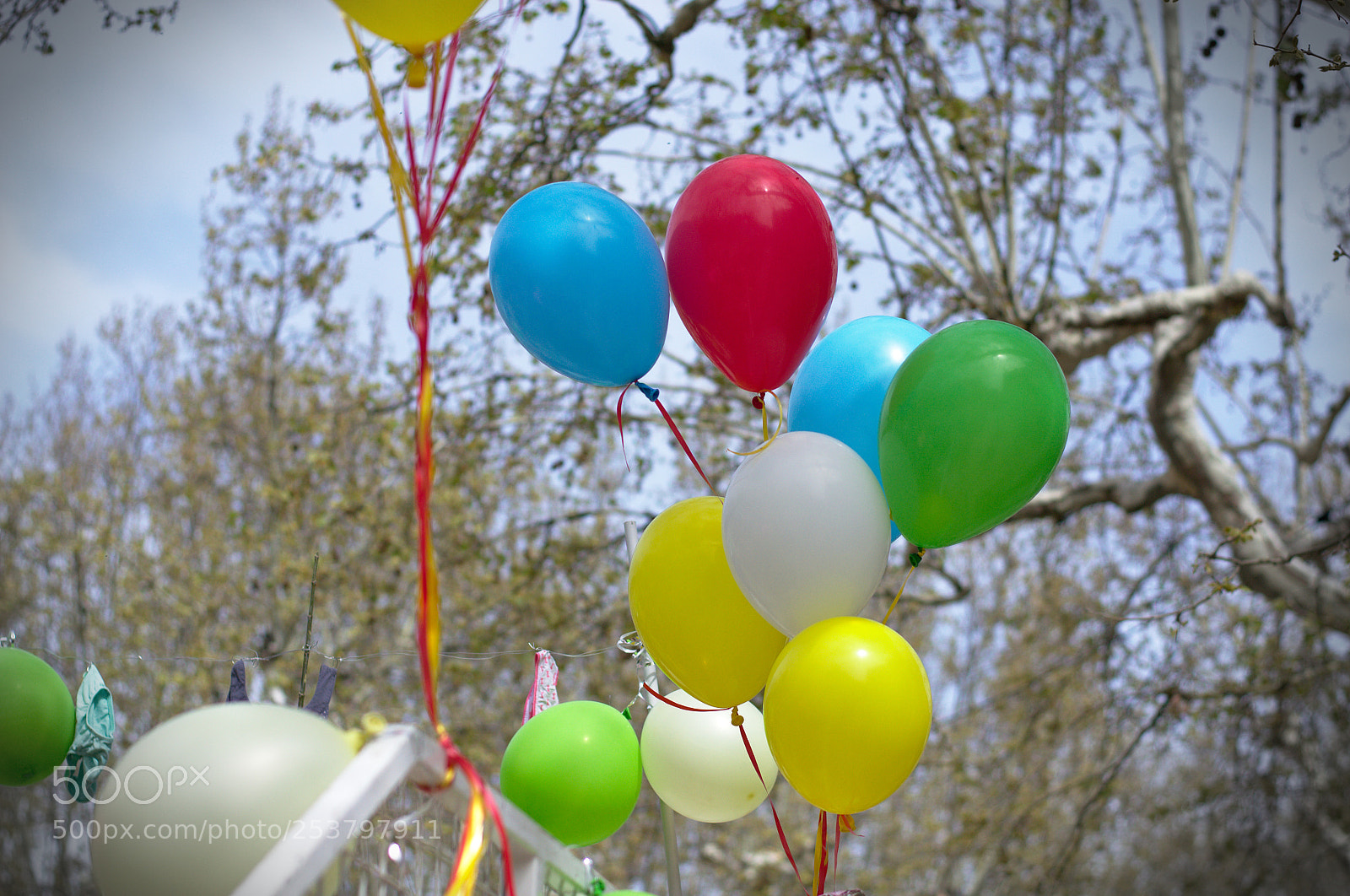 Nikon D3100 sample photo. Carnaval photography