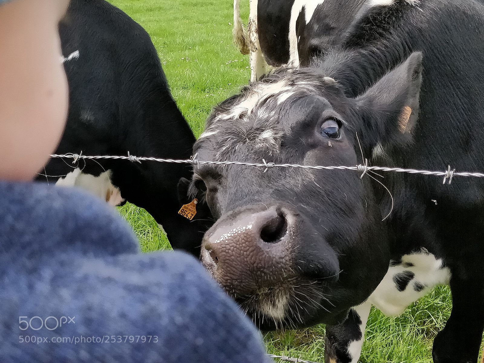 OnePlus 5T sample photo. Untitled photography