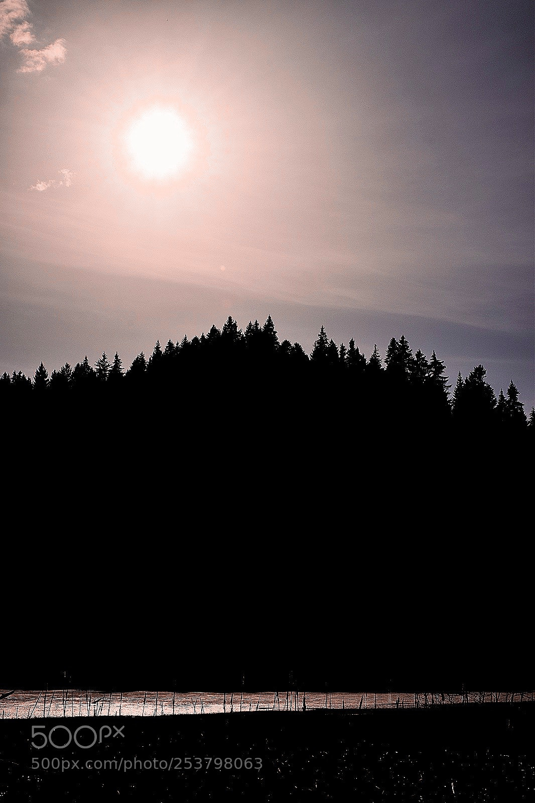 Nikon D5300 sample photo. Untitled photography