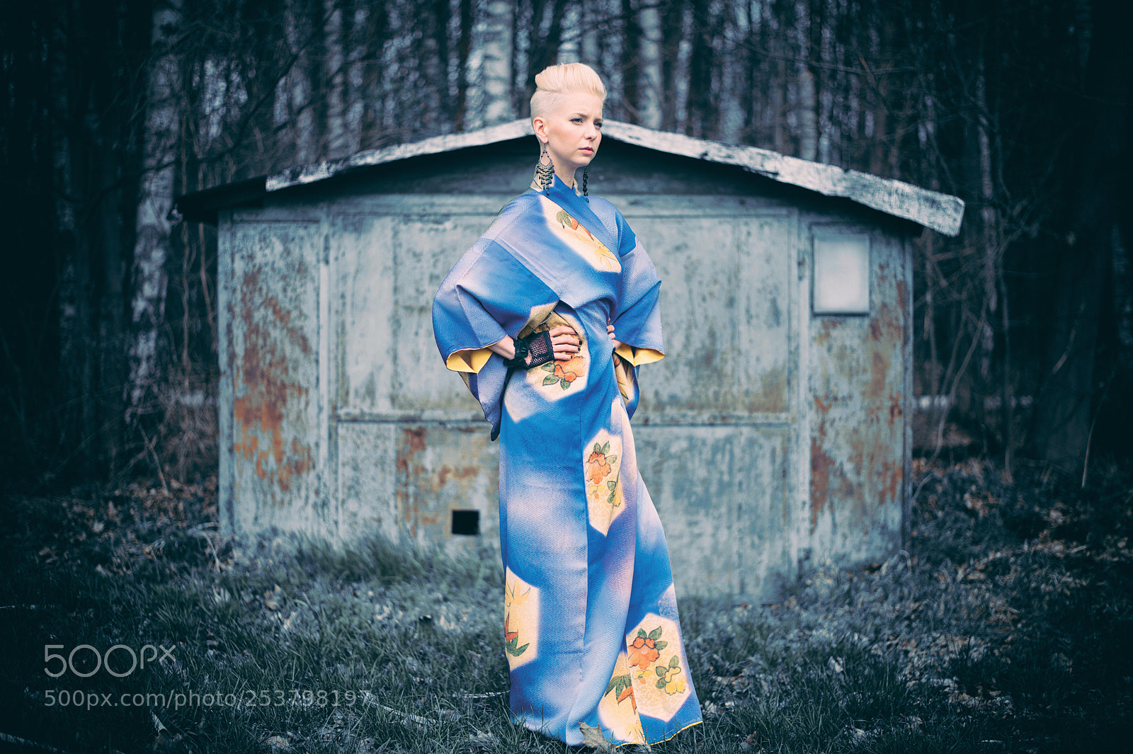 Nikon D3 sample photo. Geisha photography