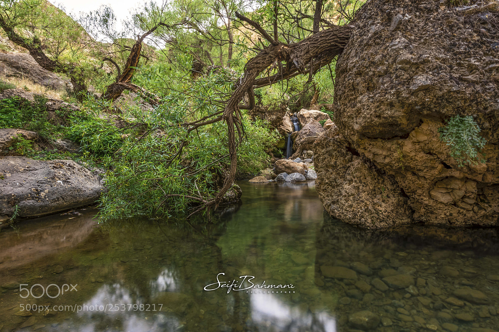 Nikon D7200 sample photo. Untitled photography