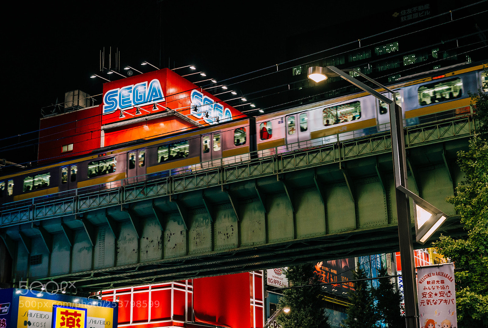 Nikon D610 sample photo. Tokyo nights photography