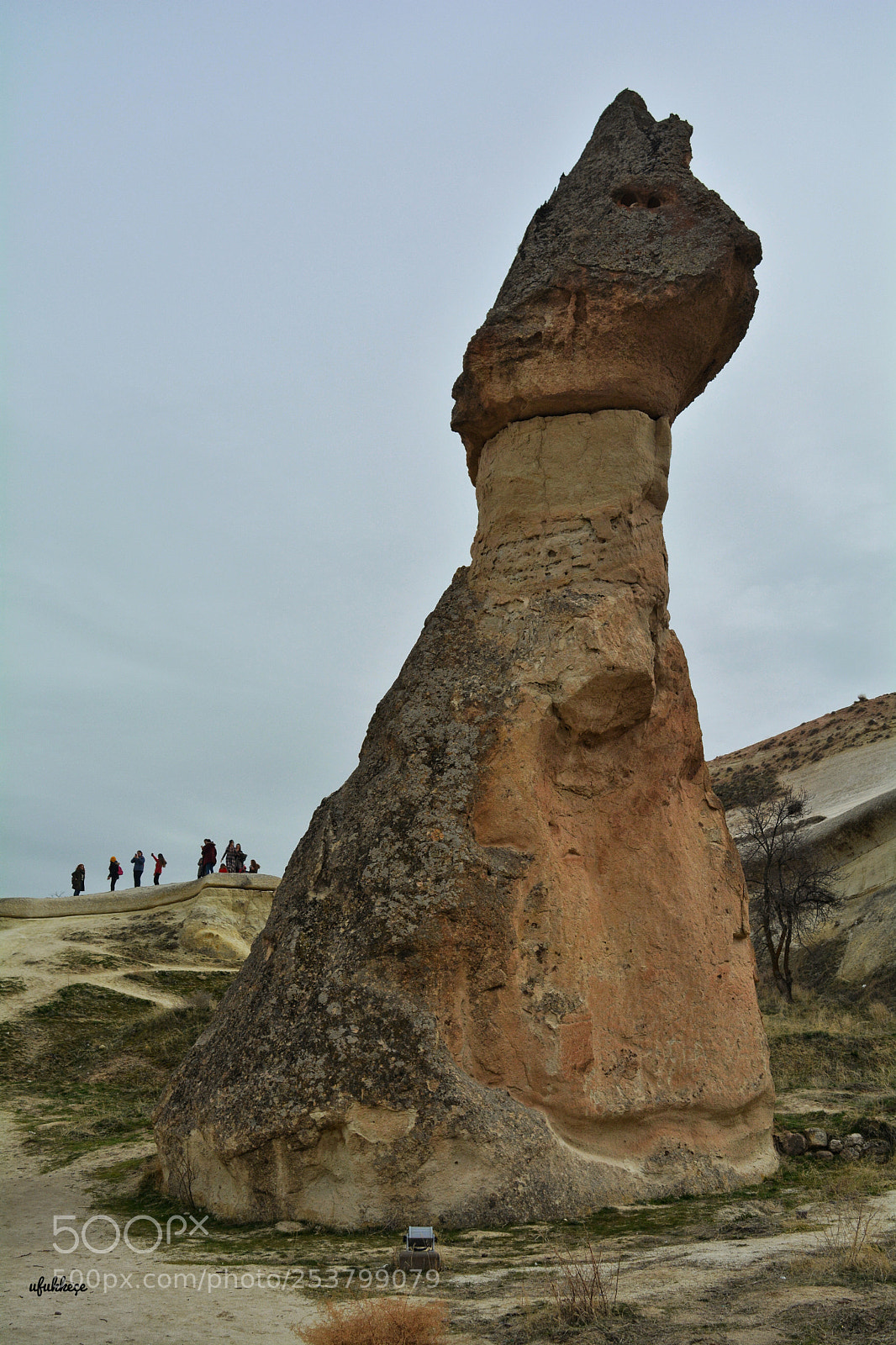 Nikon D5200 sample photo. Untitled photography