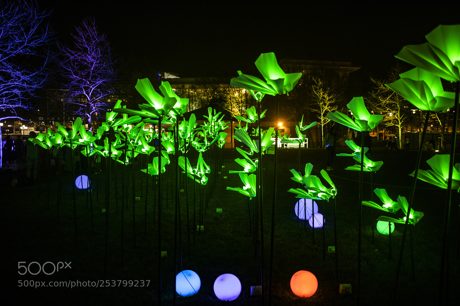 Canon EOS 5D Mark IV sample photo. Light city fest photography