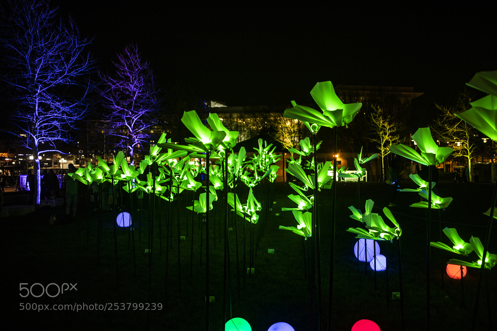 Canon EOS 5D Mark IV sample photo. Light city fest photography