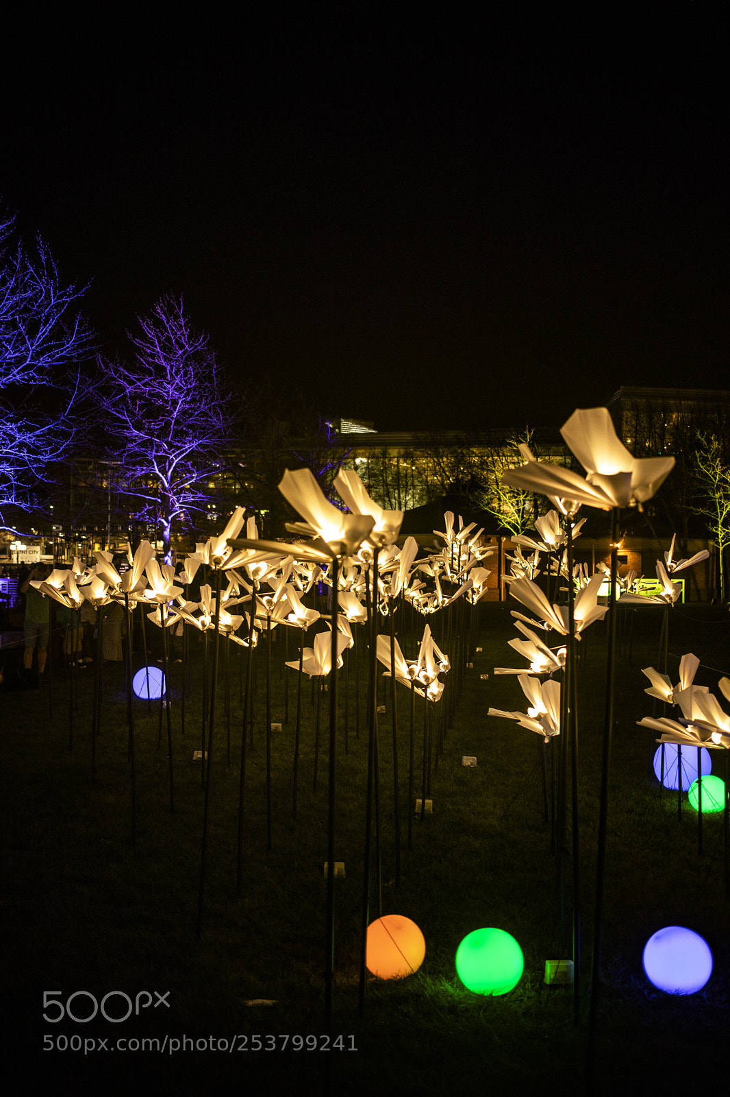 Canon EOS 5D Mark IV sample photo. Light city fest photography