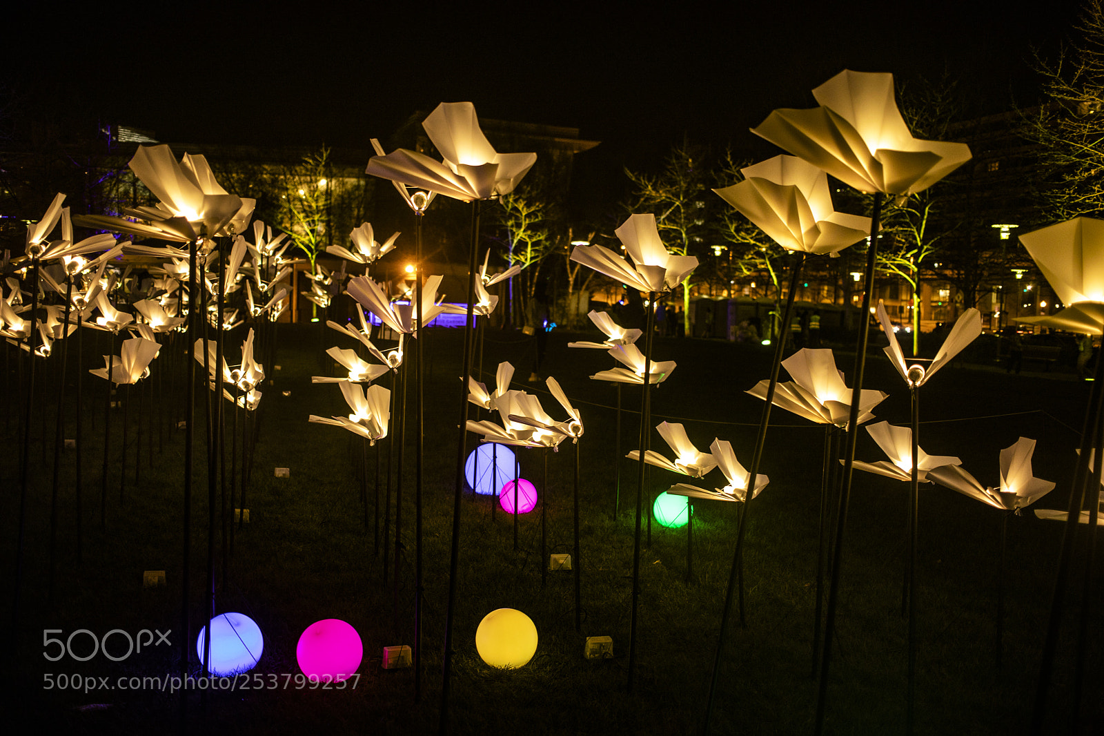 Canon EOS 5D Mark IV sample photo. Light city fest photography