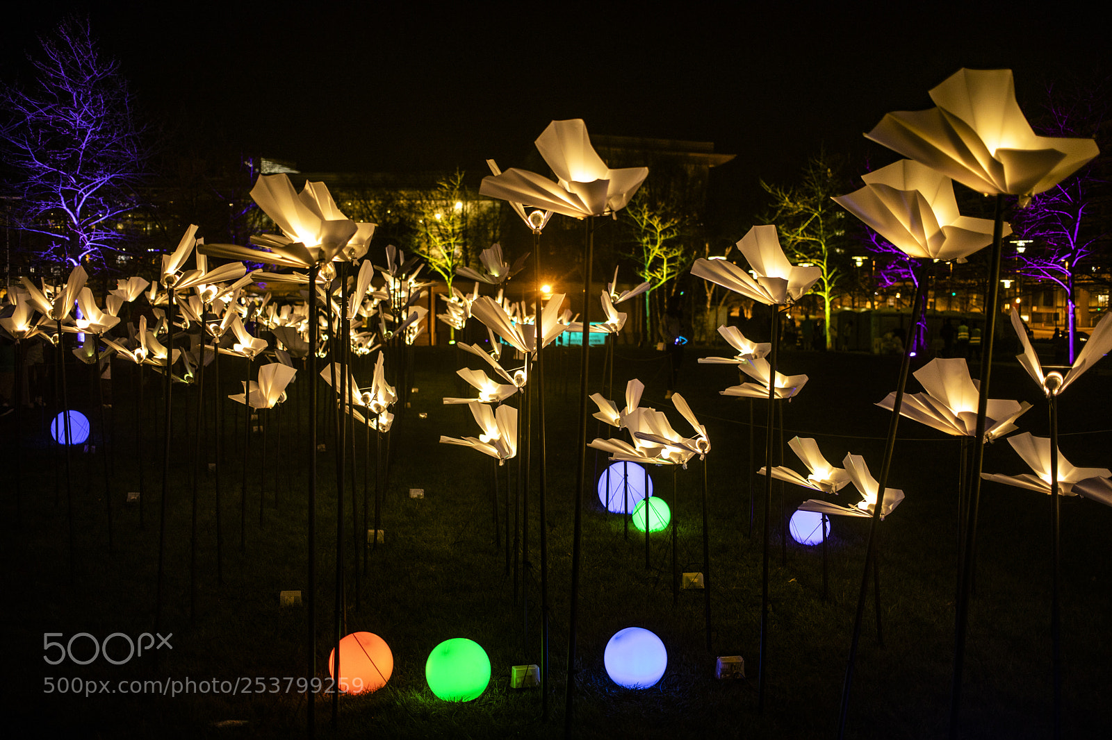Canon EOS 5D Mark IV sample photo. Light city fest photography