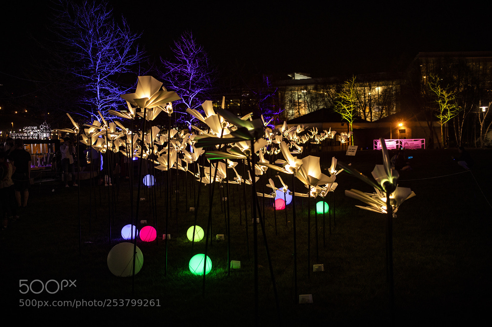 Canon EOS 5D Mark IV sample photo. Light city fest photography