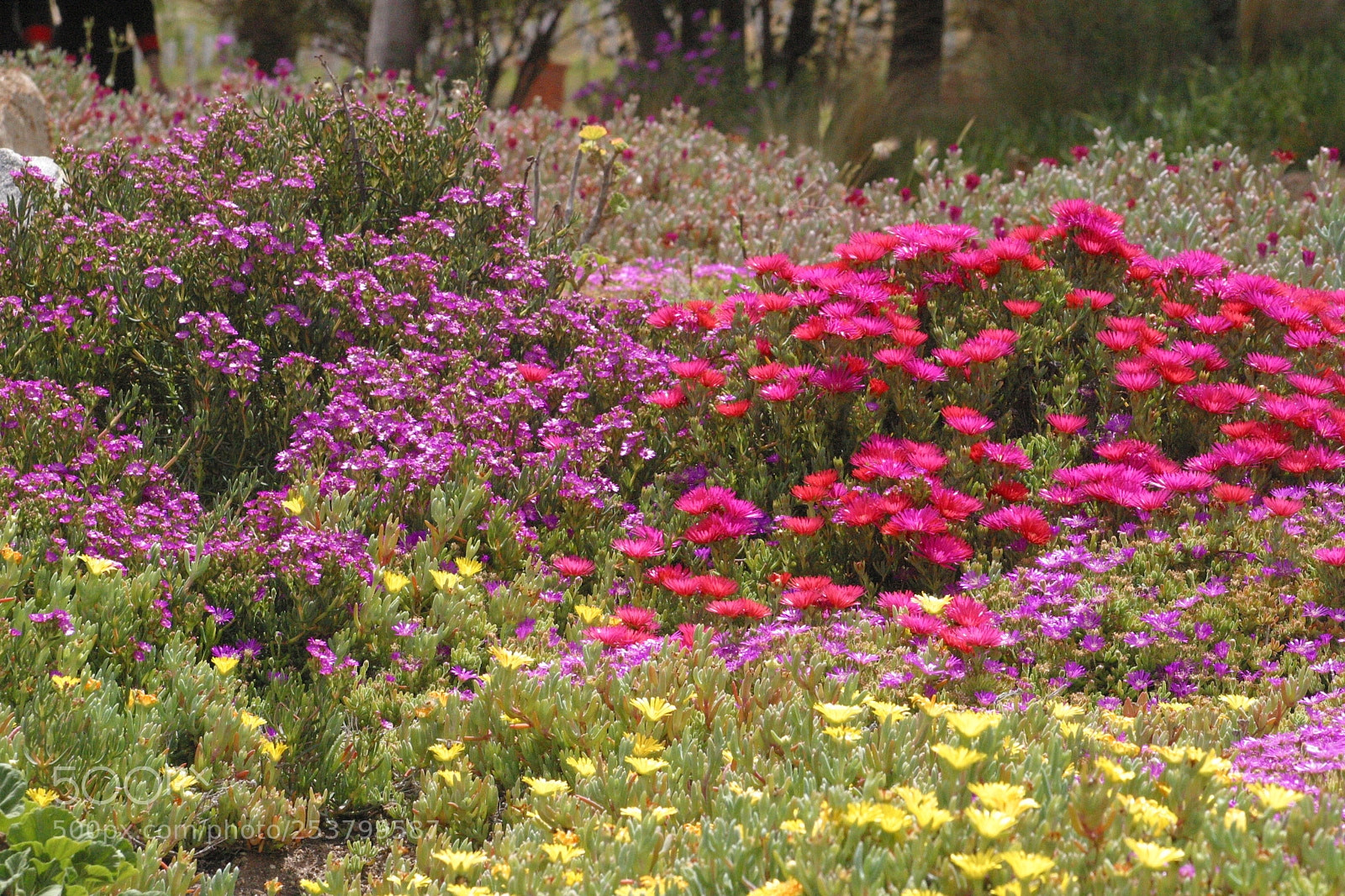 Canon EOS D60 sample photo. Spring photography