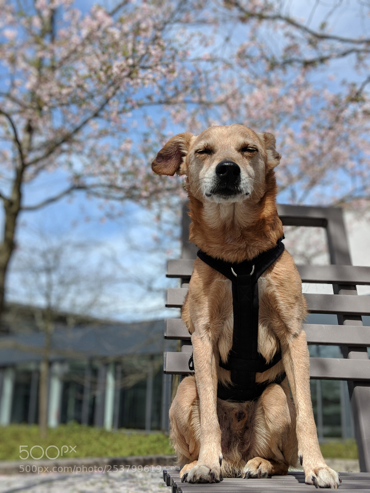 Google Pixel 2 sample photo. Untitled photography