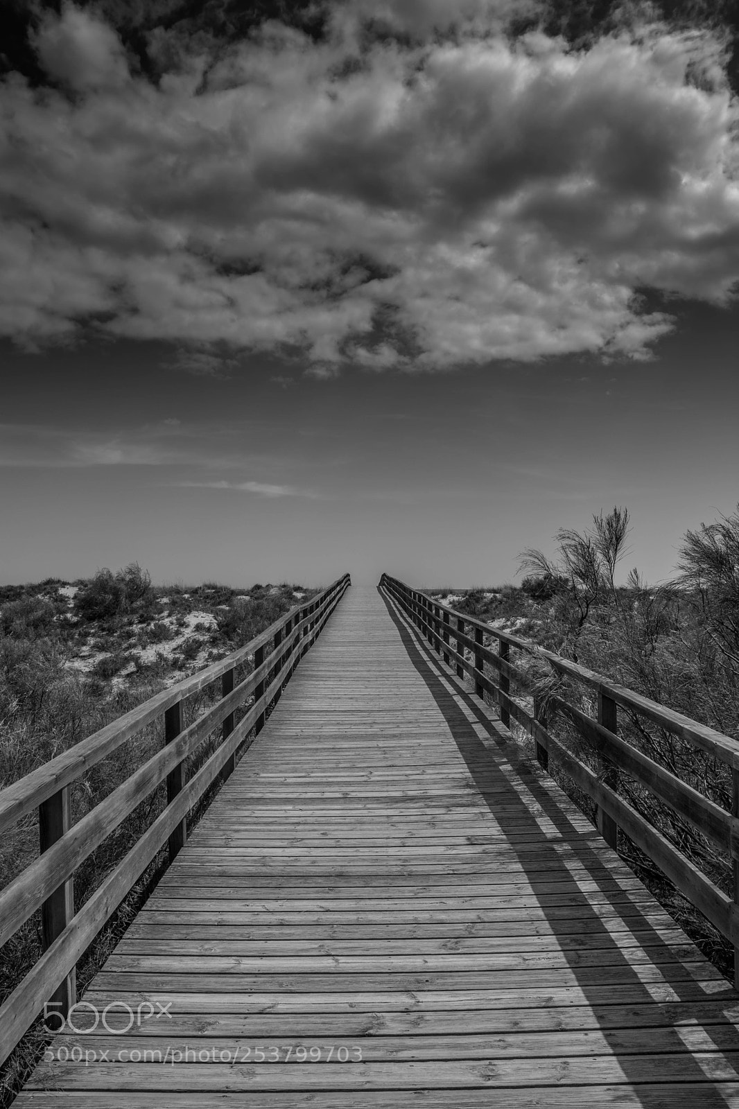 Nikon D5200 sample photo. Boardwalk photography