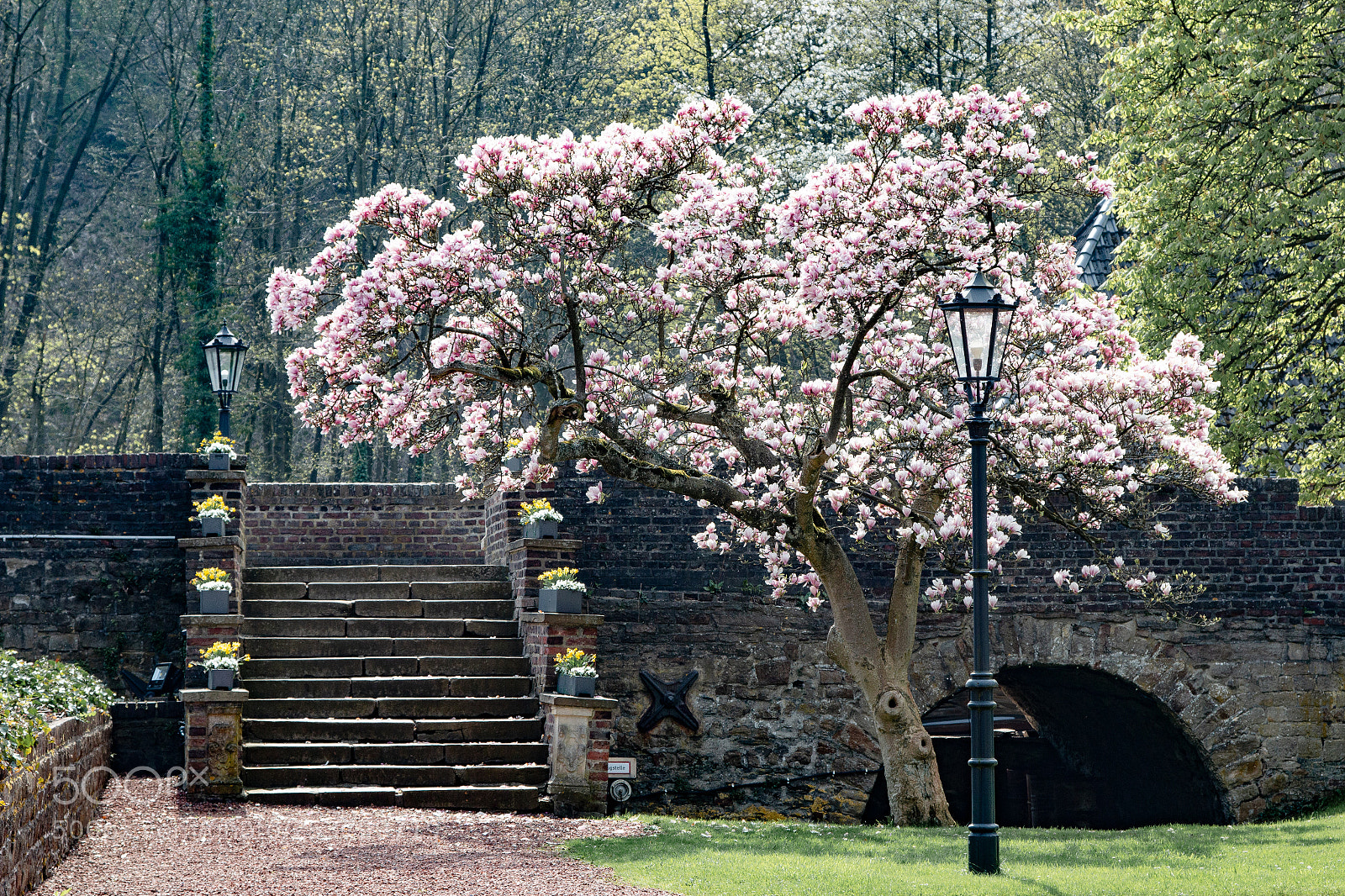 Canon EOS 70D sample photo. Spring photography