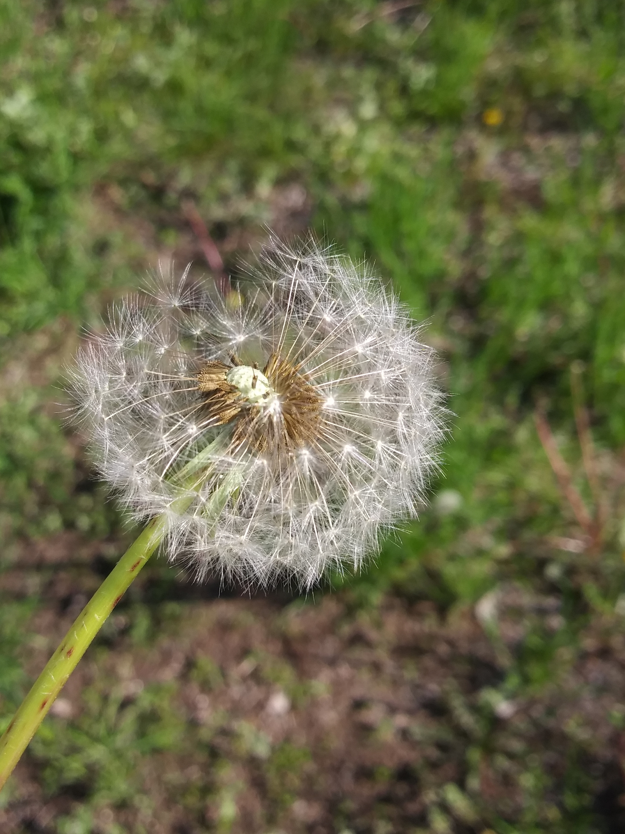 LG K8(2018) sample photo