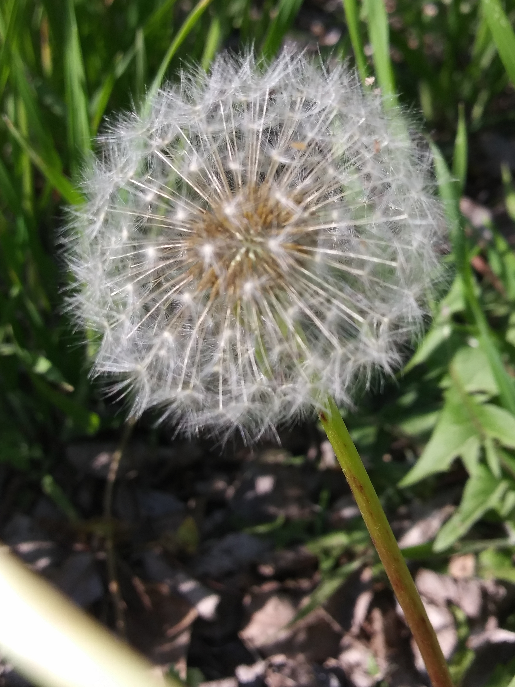 LG K8(2018) sample photo