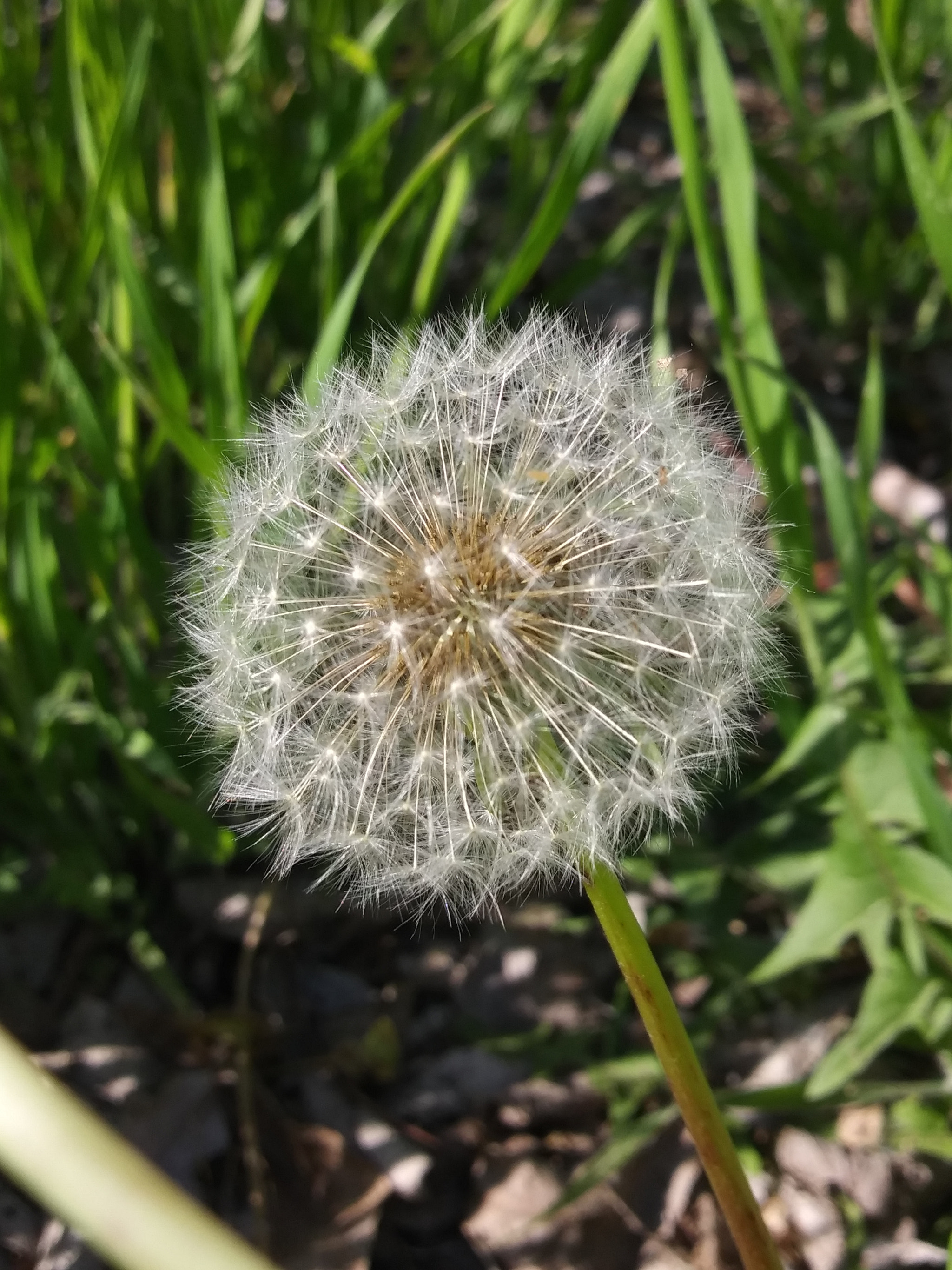 LG K8(2018) sample photo