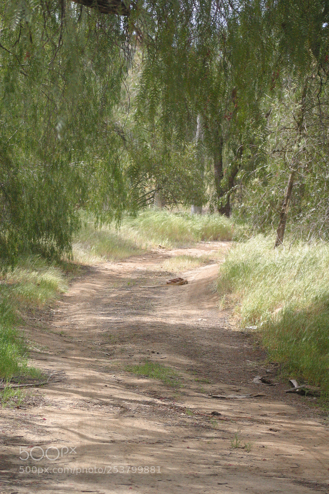 Canon EOS D60 sample photo. Road photography