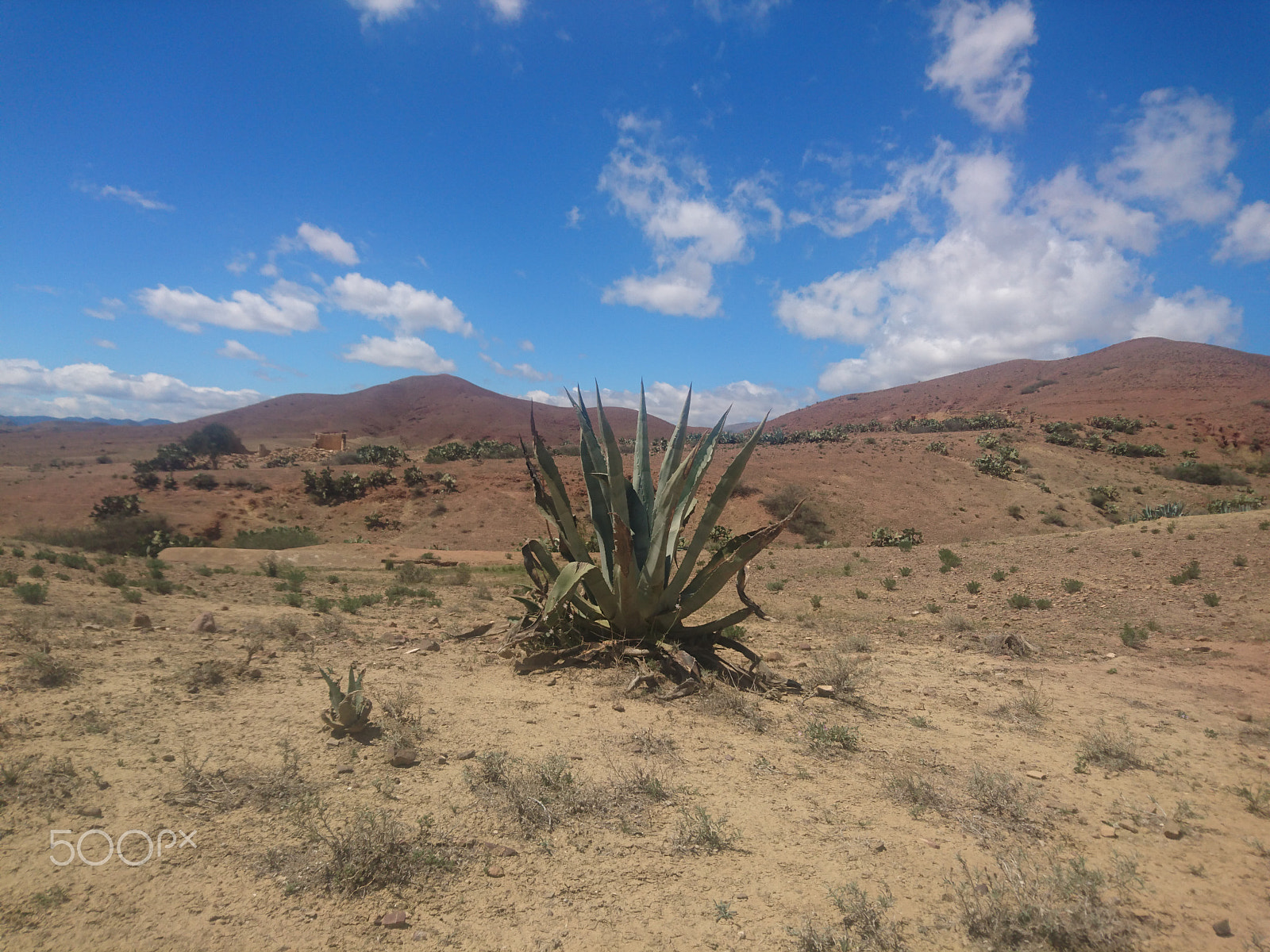 Sony Xperia Z5 sample photo. Dsc photography